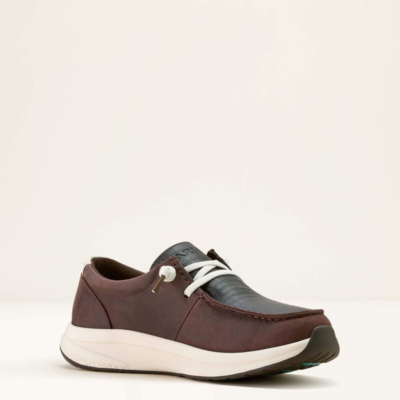 Buckeye H2O Chocolate Caiman