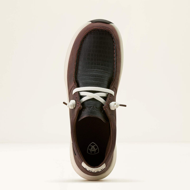 Buckeye H2O Chocolate Caiman