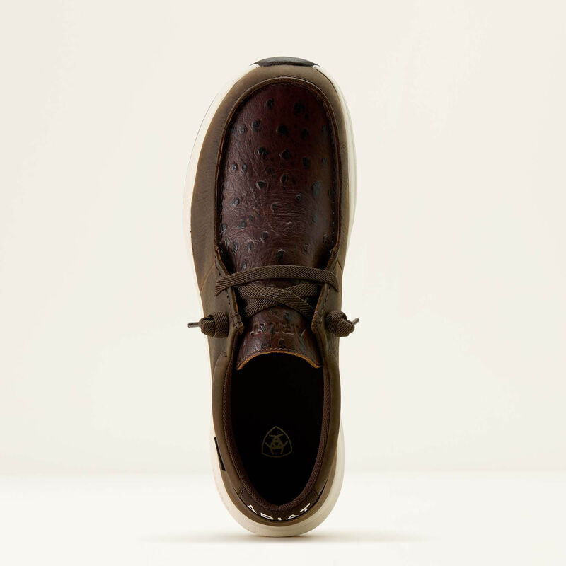 Buckeye H2O 3966