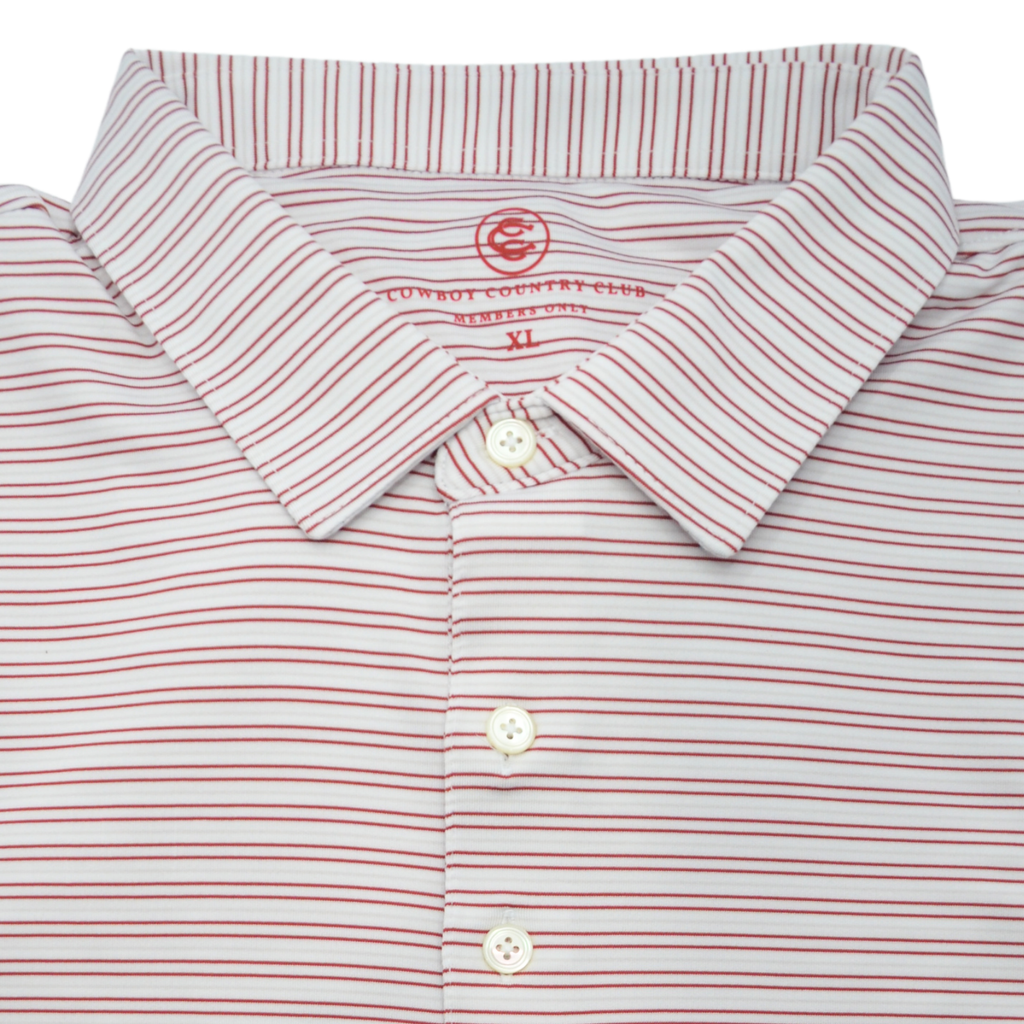 Thin Stripe Polo