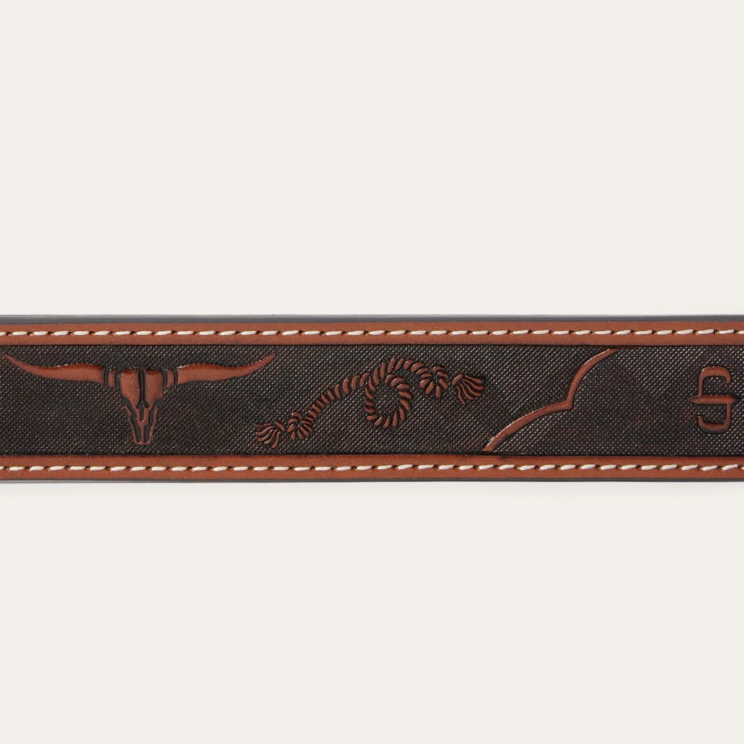 Longhorn and S