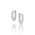 Endless Promise Crystal Earrings