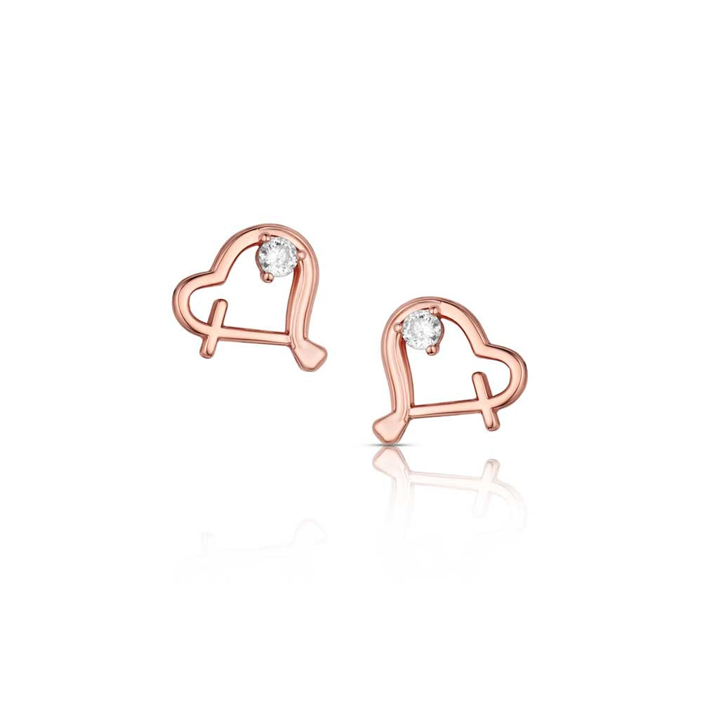 Heart and Soul Earrings ER6675
