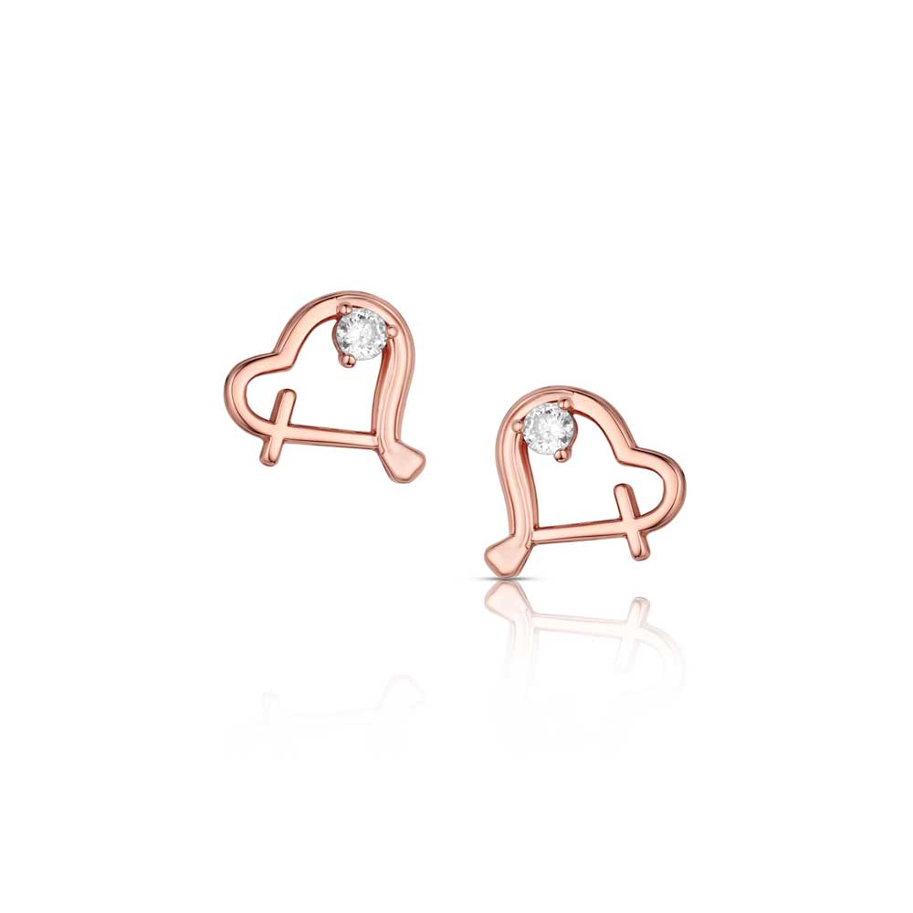 Heart and Soul Earrings ER6675