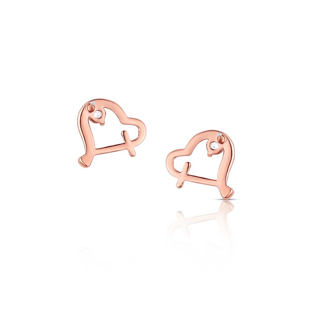 Heart and Soul Earrings ER6675