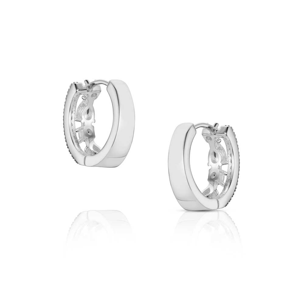 Starfall Crystal Earrings ER6704