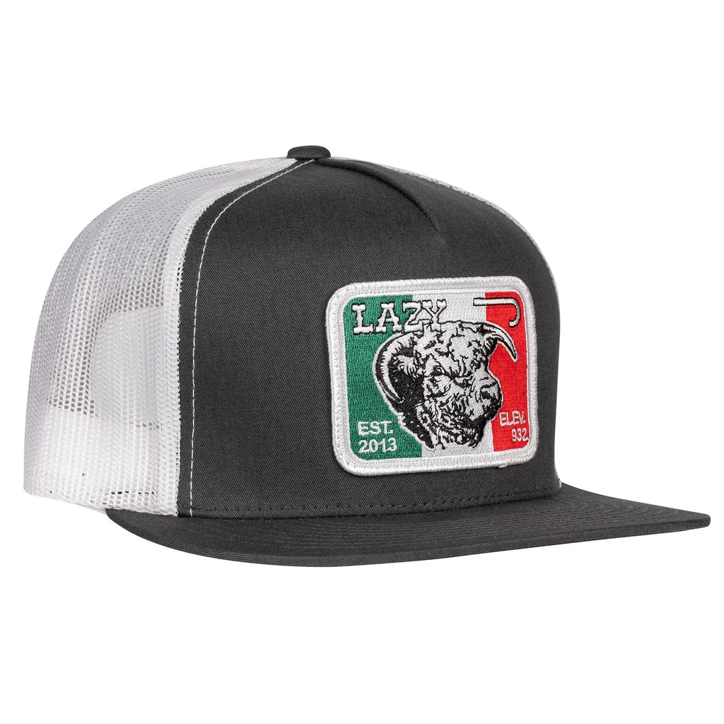 azy J Ranch Charcoal Grey & White Mexico Elevation