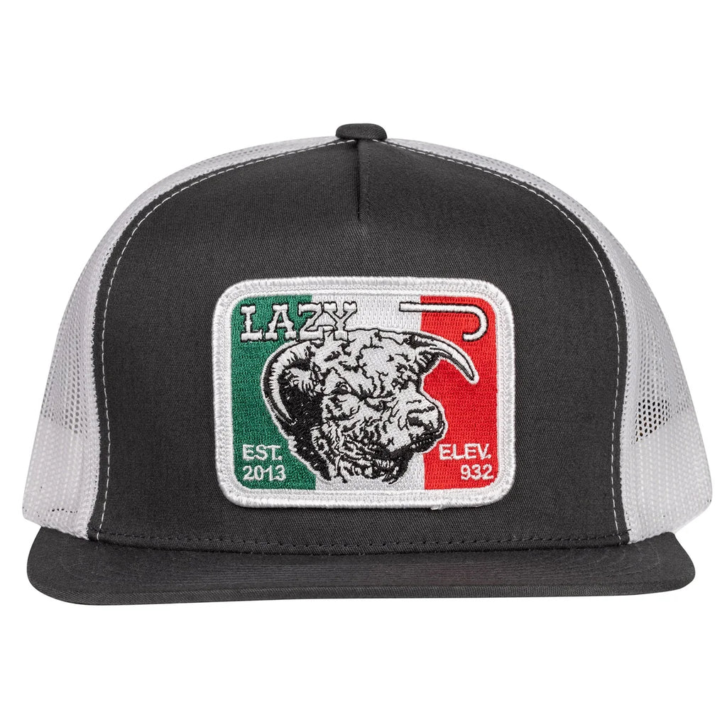 azy J Ranch Charcoal Grey & White Mexico Elevation