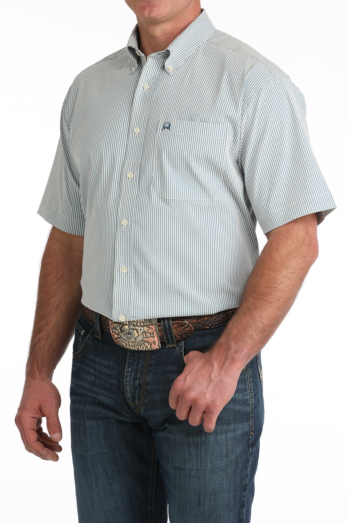 CINCH BLUE BANKER STRIPE ARENA