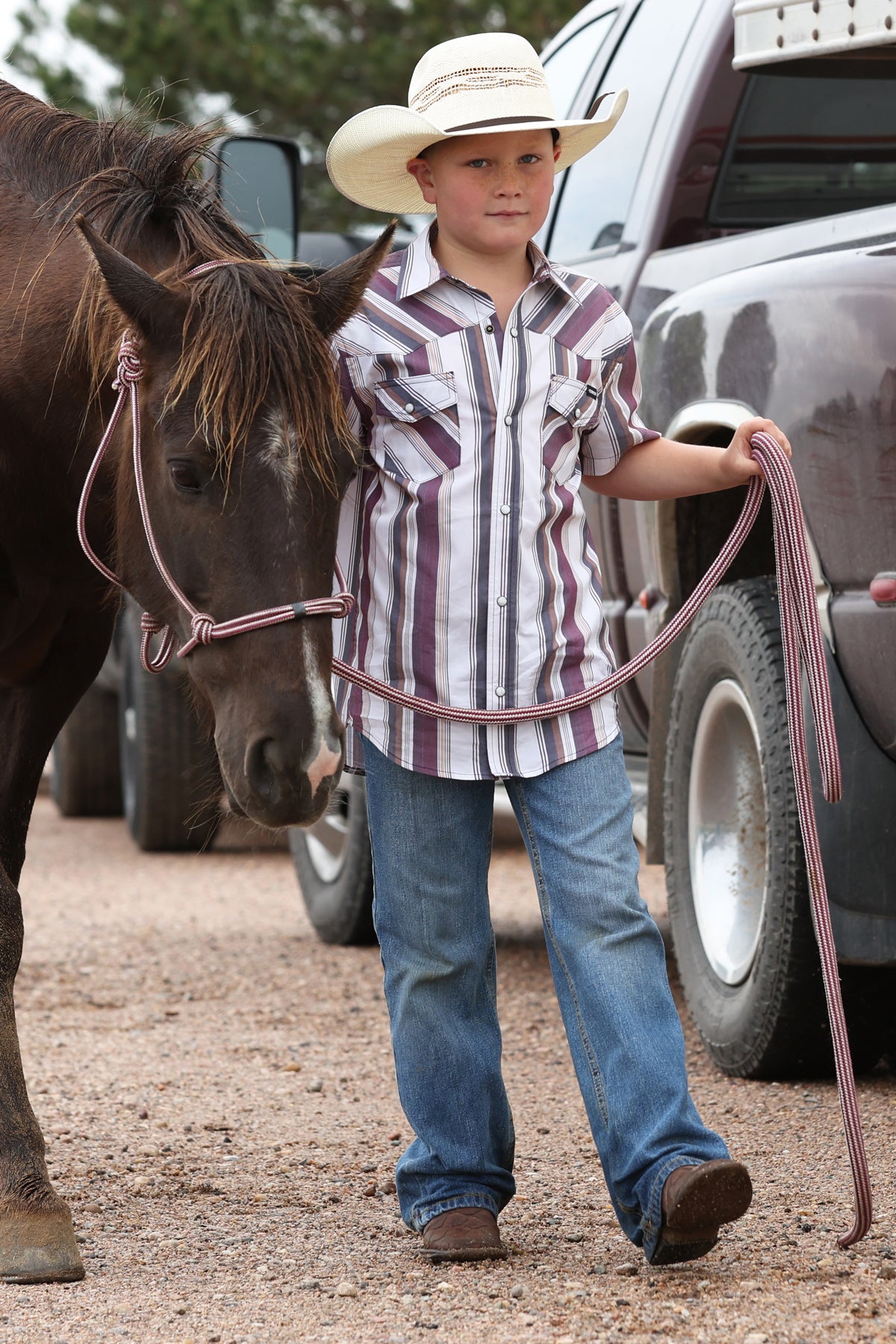 BOYS CINCH BROWN RED BLACK STRIPE BUTTON UP