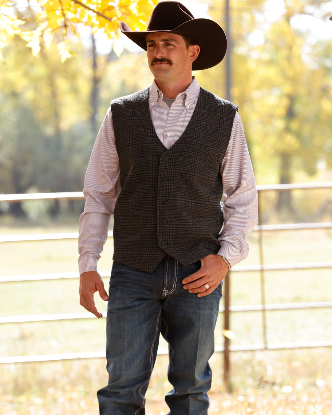 CINCH MENS PLAID VEST