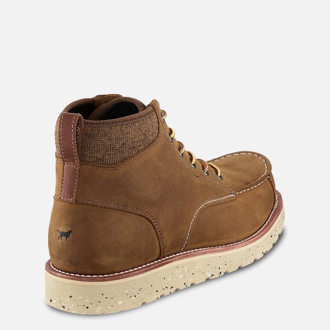 Setter Fifty Casual