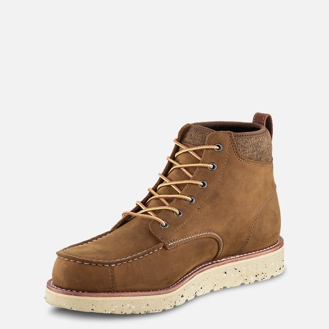Setter Fifty Casual