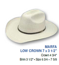 LOW CROWN PALM