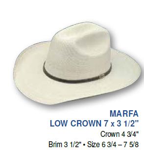 LOW CROWN PALM