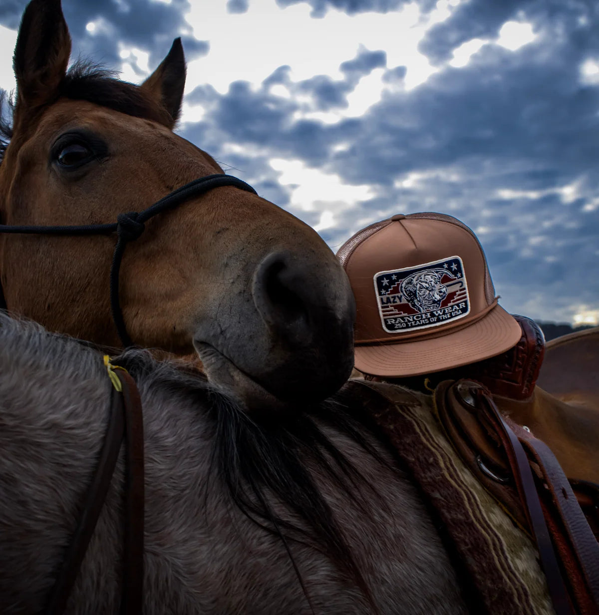 Lazy J Coyote Brown Freedom Classic  Trucker Hat