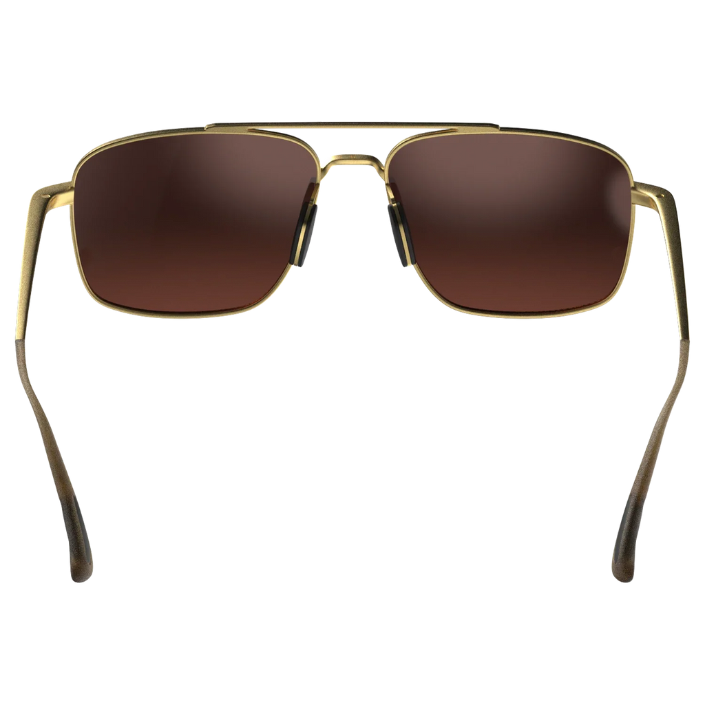 Accel Gold Brown Silver