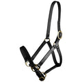 Gatsby Adj Turnout Leather Halter No Snap