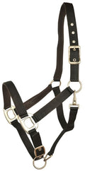 Gatsby Leather Pad Nylon Halter
