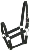 Gatsby Nylon Draft Halter/Snap