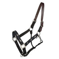Gatsby Nylon Breakaway Halter Overlay