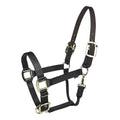 Gatsby Gold Nylon Breakaway Halter