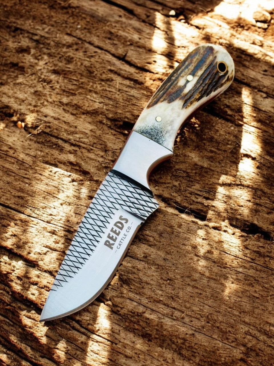 Western Knife with 3.4" Rasp Steel Blade & Antler Horn Handle