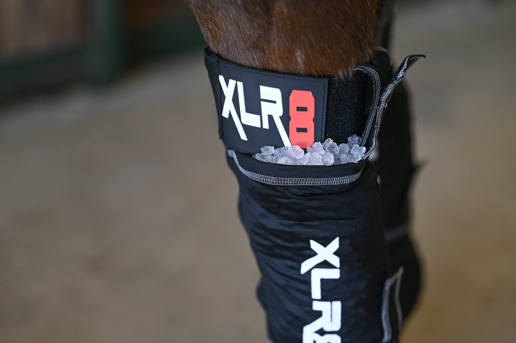 Cryo Boot : Ice Boots