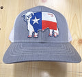 LAZY J FLAG BULL