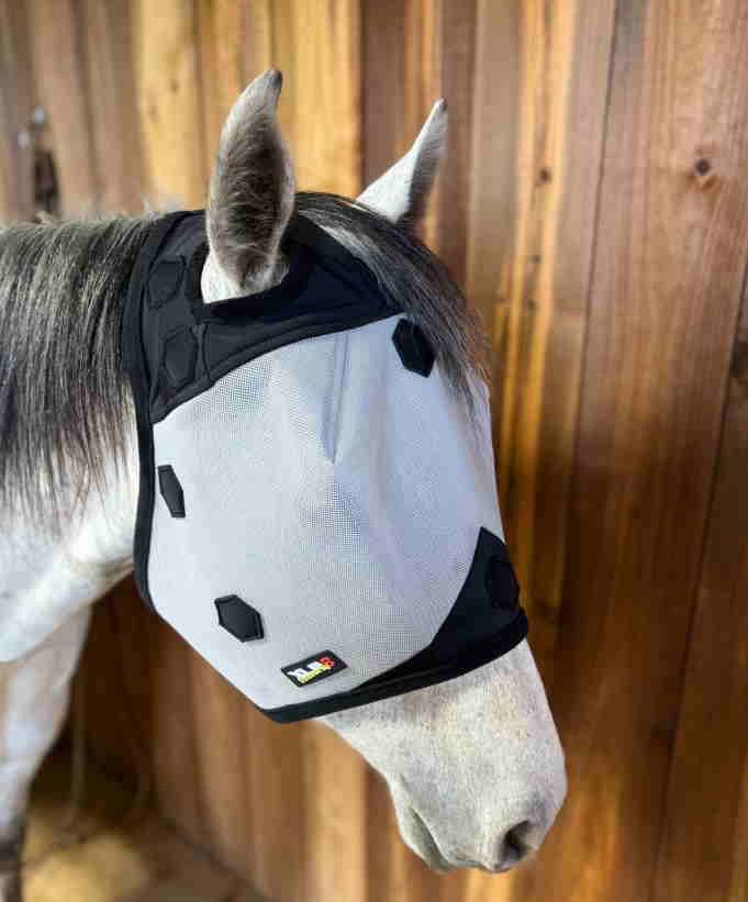 Fly Mask