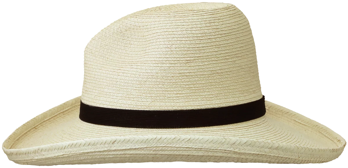 GUS PALM LEAF