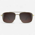 Accel Gold Brown Silver