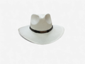 STRAW HATS